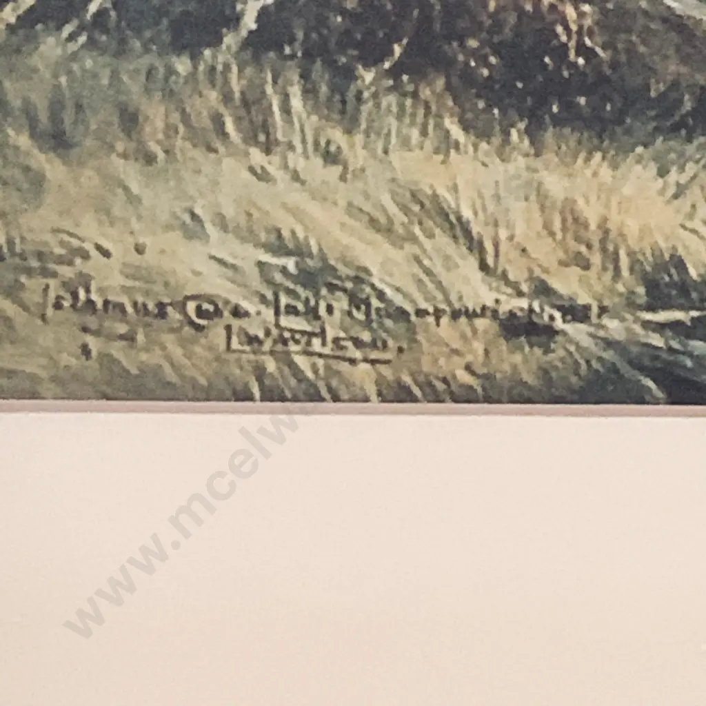 Vintage Wooden Framed and Glazed Print, Isthmus Cove Lake Manapouri - L.W. Wilson Private Collection Image 1++