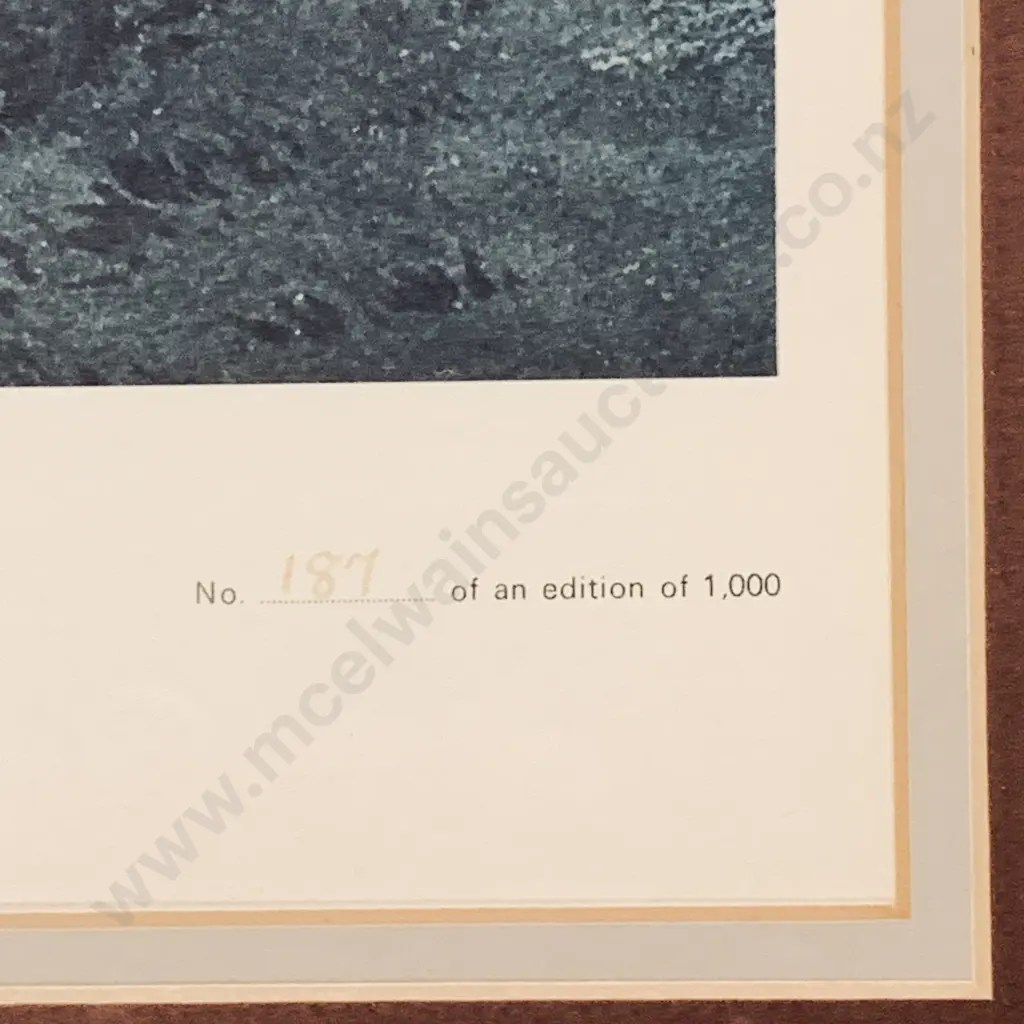 Large Wooden Framed and Glazed Print of Pink and White Terraces, Lake Rotomahana, Mount Tarawera, by J.C. Hoyte Image 1++