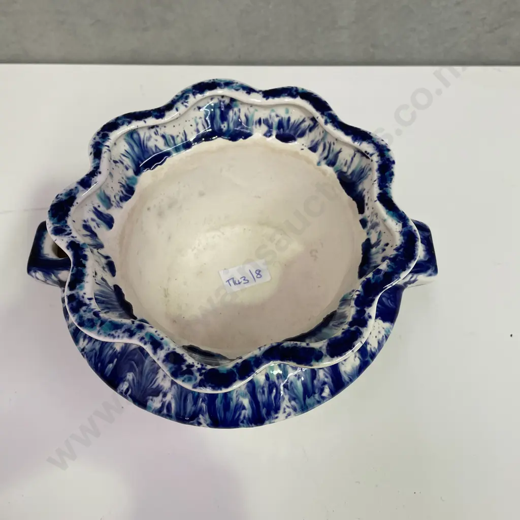 Flow Blue African Lily 2 piece Plant Pot Image 1++