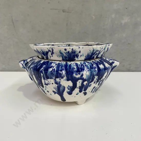 Flow Blue African Lily 2 piece Plant Pot