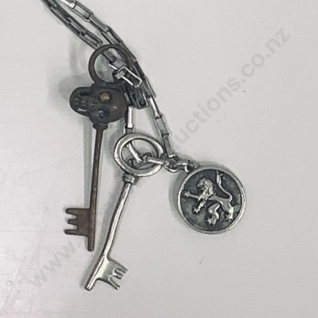 Mens Plug Brand Ring, Silver coloured Necklace with Gold Coloured Necklace Image 1++