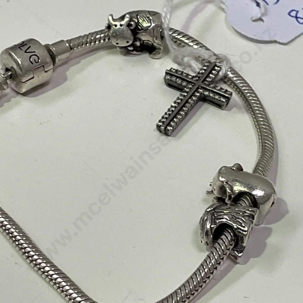 Evolve Charm Bracelet with Sterling Silver Charms and Sterling Silver and gemstone cross Image 1++