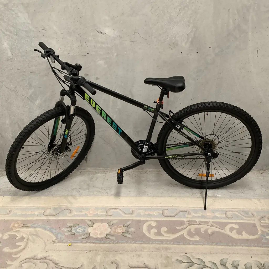 Black Everest Disc Adult Mountain 29XCR Bike. 21 spped. Model 42-839-286 Image 1++