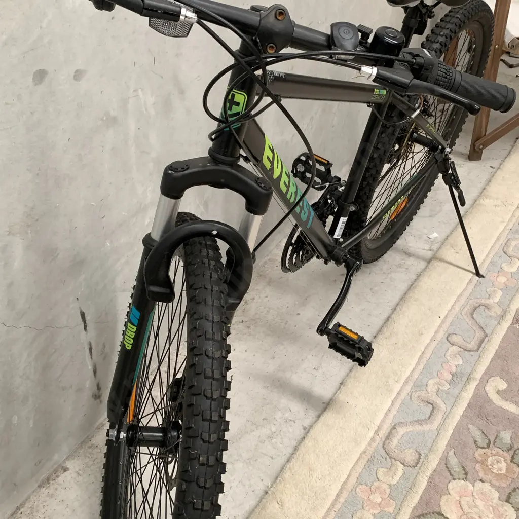 Black Everest Disc Adult Mountain 29XCR Bike. 21 spped. Model 42-839-286 Image 1++