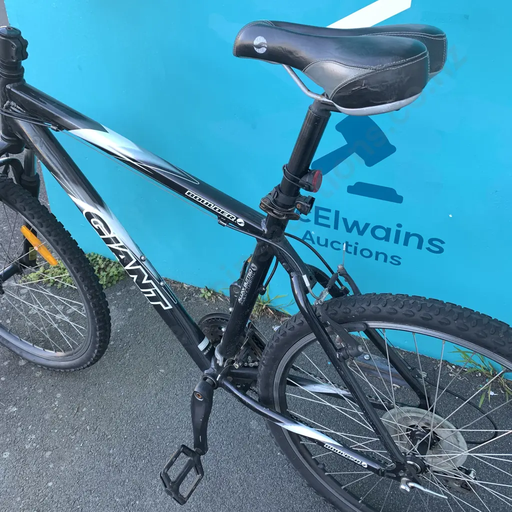 Giant Boulder Bike. Size 19" Image 1++