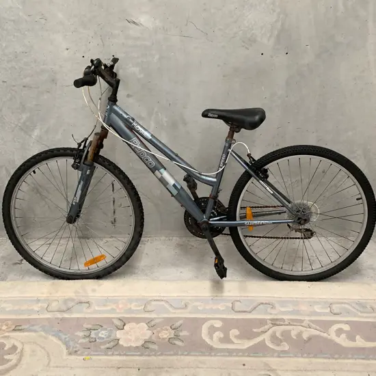 Repco Mosaic Bike. Blue Grey