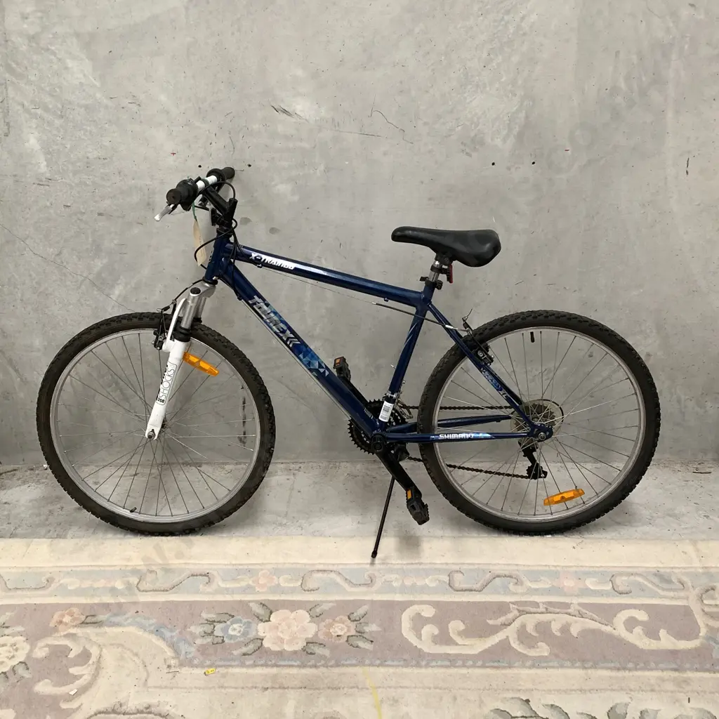 Blue Tourex X-Train 66 Road Bike Image 1++