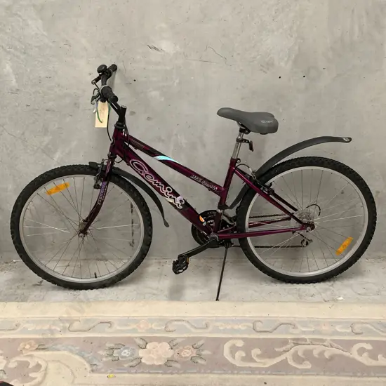 Healing MTM Sport Gemini Bike with stand. Purple