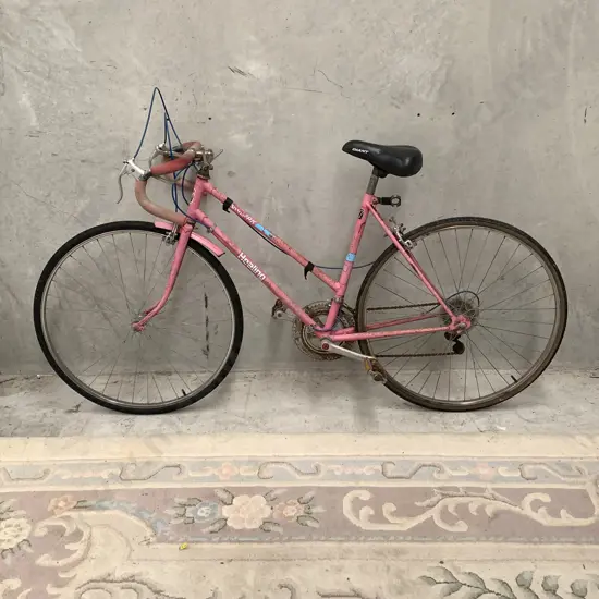 Healing Pink Skylark Road Bike