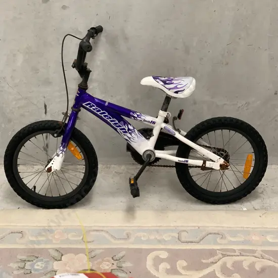 Raleigh Childs Rough Rider Bike