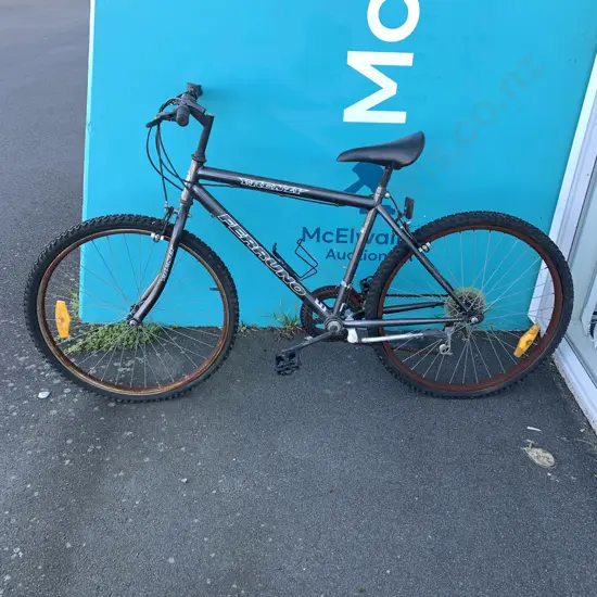 Ferruno Frenzy Mountain Bike. Size 18"