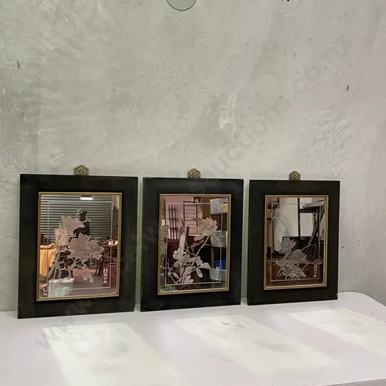 Trio of Silver Embossed Mirrored Artworks. Velvet and wood framed with brass emblem top. 56 x 45cm