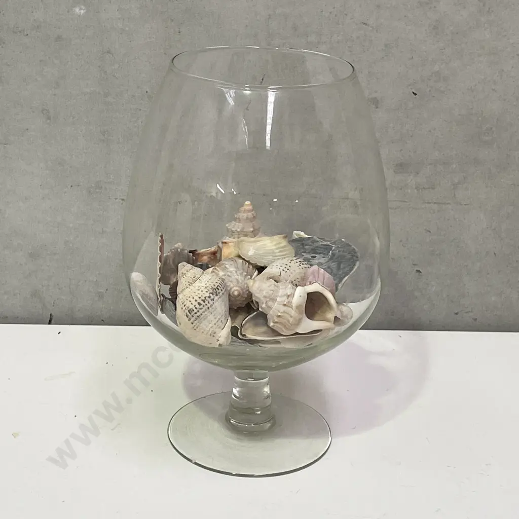Large Glass Brandy Balloon with assorted shells Image 1++