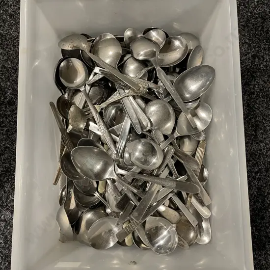 Plastic Container with assorted cutlery