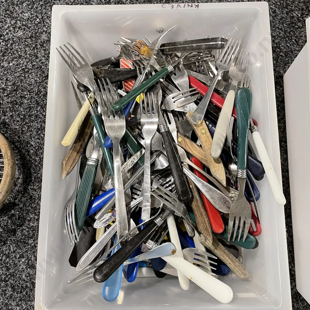 Plastic Container with assorted cutlery Image 1++