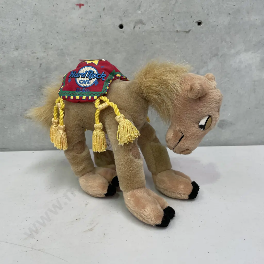 Hard Rock Cafe Dubai Camel Image 1++