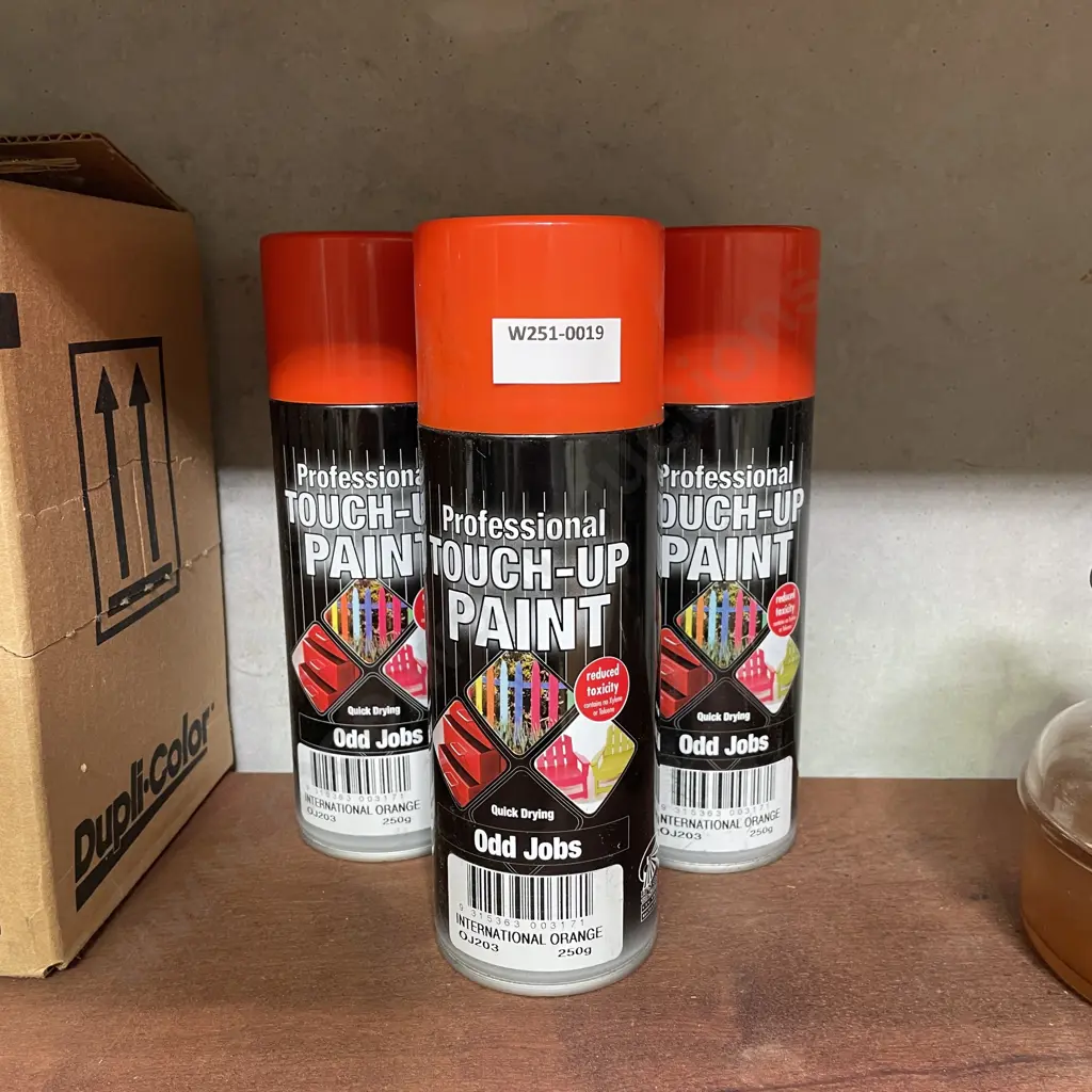3 x Cans Professional Touch-up Paint. Orange Image 1++