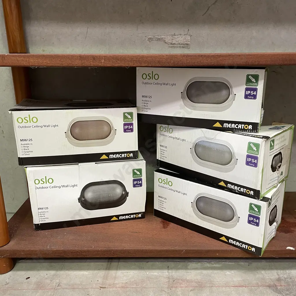 Mercator Oslo Outdoor Ceiling/Wall Light. MX6125 x 5. Silver. New in box Image 1++