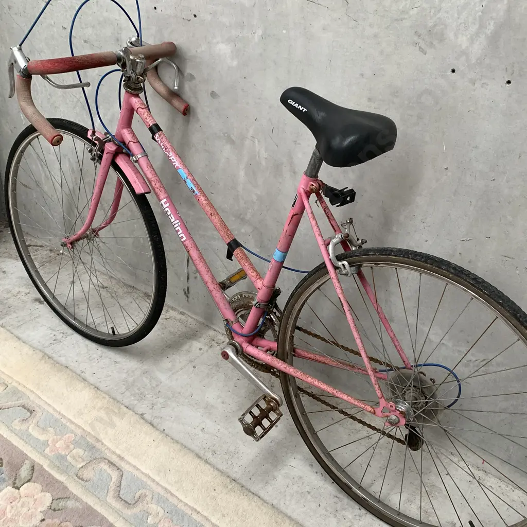 Selection of 4 Bikes including Diamond Back Bronco 26, Blue Grey Repco Mosaic Bike, Blue/Black Tarini TS18 Mountain Bike Image 1++