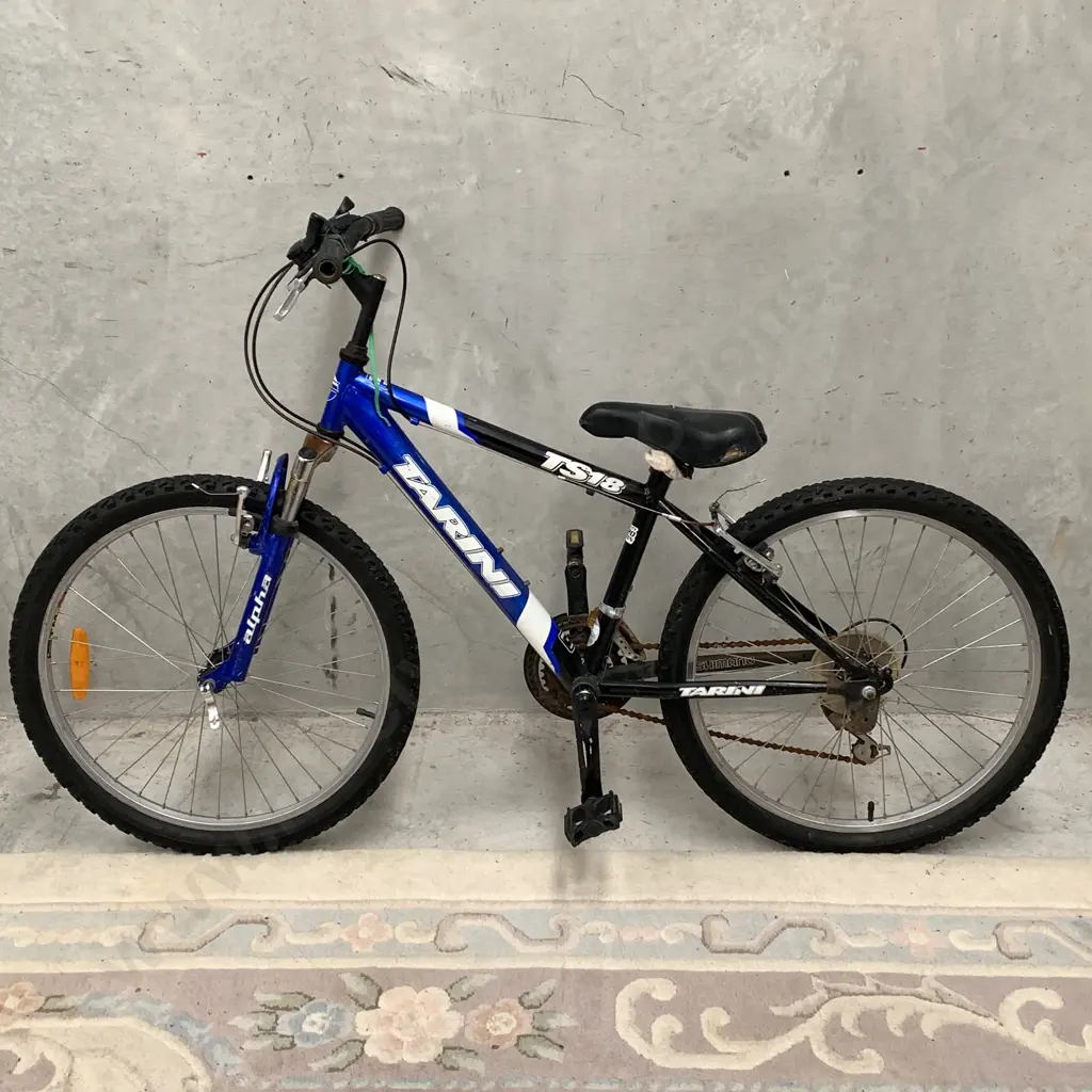 Selection of 4 Bikes including Diamond Back Bronco 26, Blue Grey Repco Mosaic Bike, Blue/Black Tarini TS18 Mountain Bike Image 1++
