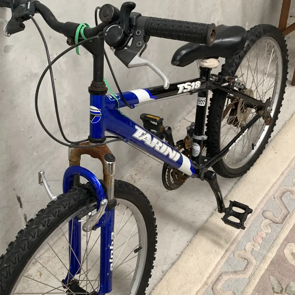 Selection of 4 Bikes including Diamond Back Bronco 26, Blue Grey Repco Mosaic Bike, Blue/Black Tarini TS18 Mountain Bike Image 1++