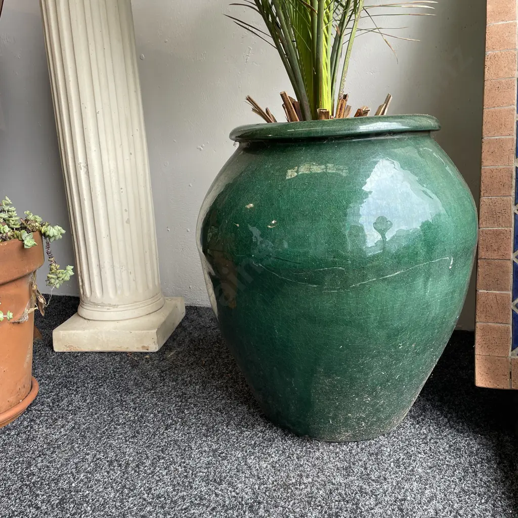 Large Glazed Bulbous Plant Pot with Nikau Palm. Pot H54cm full H120cm Image 1++