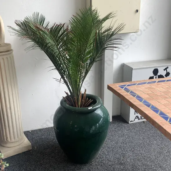 Large Glazed Bulbous Plant Pot with Nikau Palm. Pot H54cm full H120cm