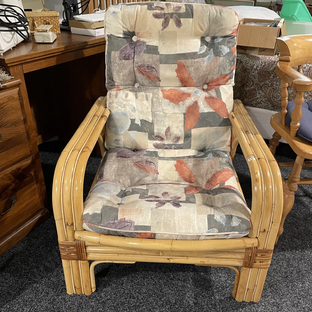 Solid Cane Armchair Image 1++