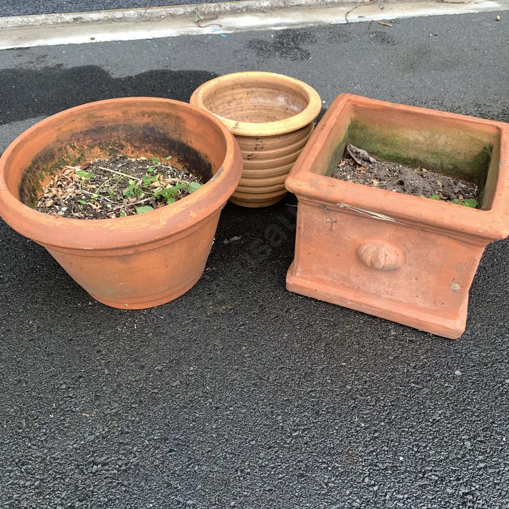 Trio of Terracotta Pots Image 1++