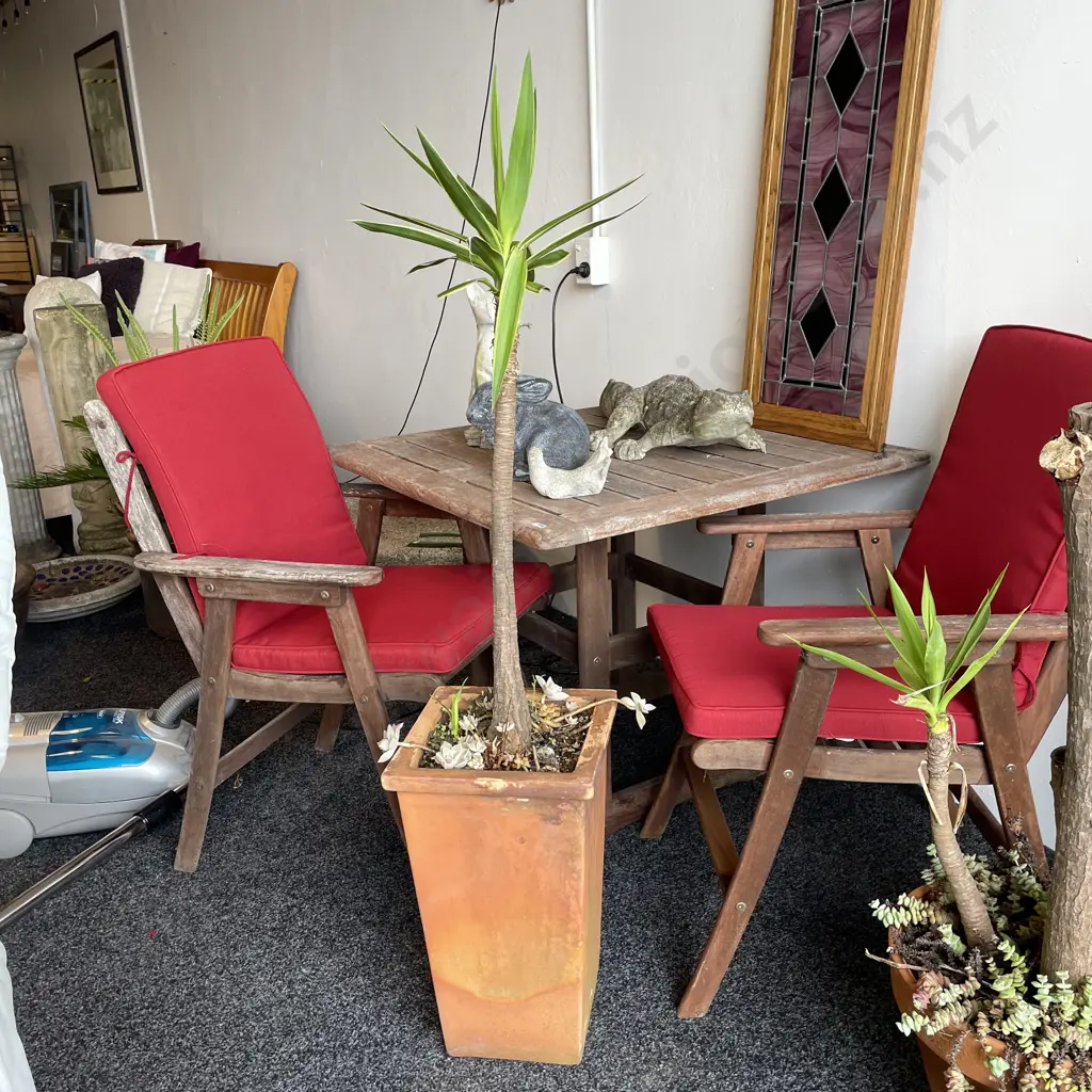 Large Terracota Plant Pot with Spineless Yucca Image 1++