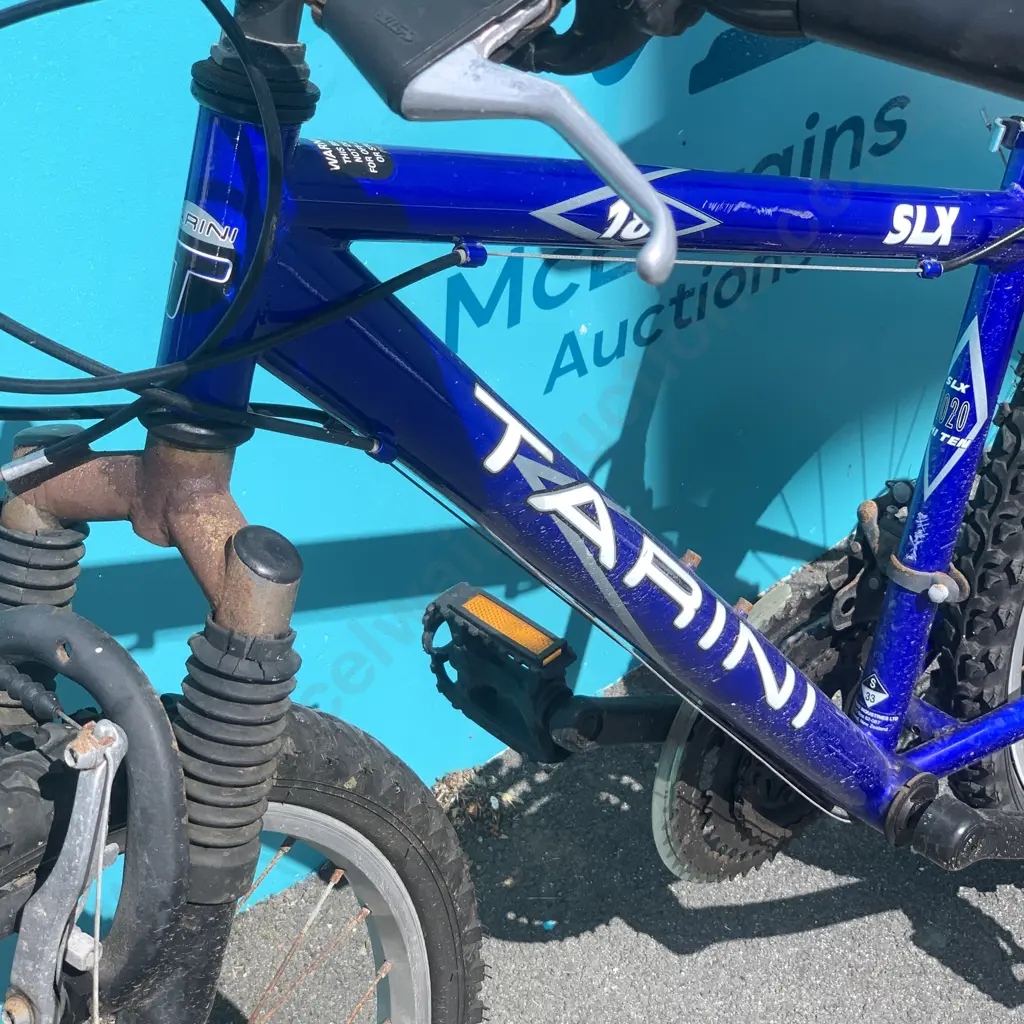 Blue Tarini SLX 1020 Hi Ten Bike Size S Image 1++