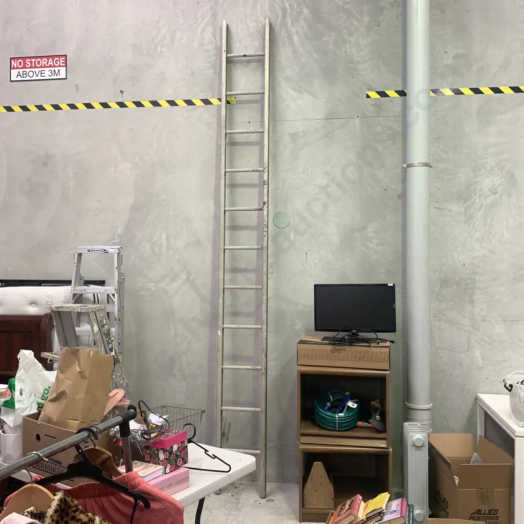 11 Step Ladder Image 1++