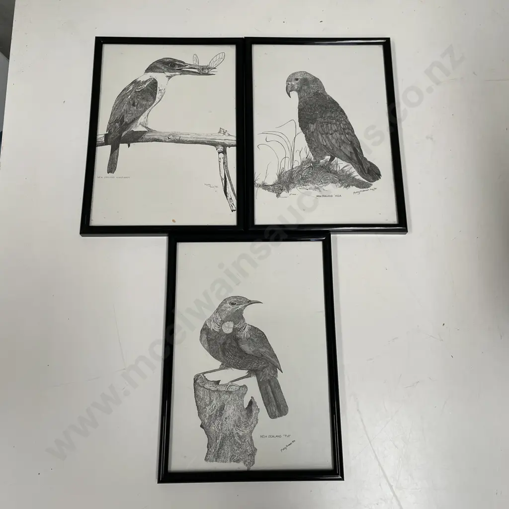 Three framed Limited Edition Artworks by Murray Anderson of NZ Birds Image 1++