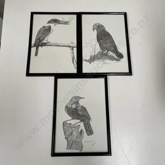 Three framed Limited Edition Artworks by Murray Anderson of NZ Birds