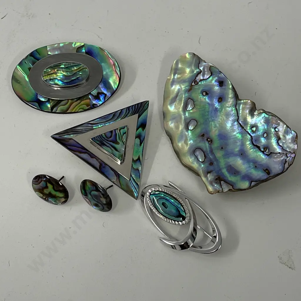 Assorted Paua Jewellery Image 1++