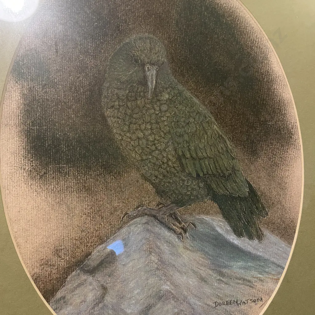 Framed and Glazed Artwork of Kea or Kakapo by Doreen Watson Image 1++