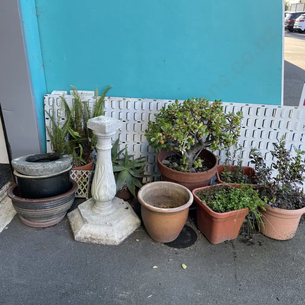 Selection of Potted Plants including Concrete Bird Bath Base Image 1++