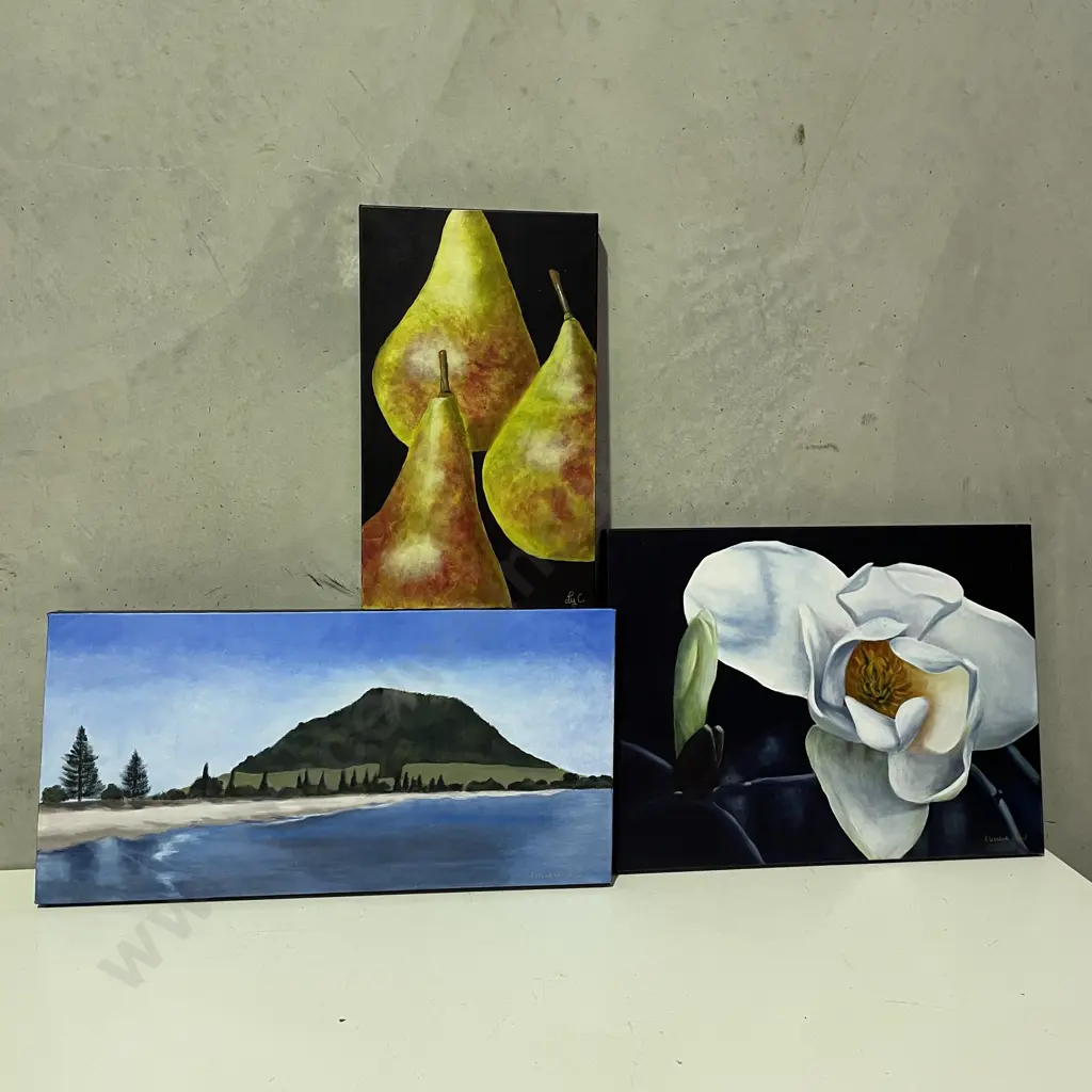 Three Canvas Artworks, signed Elizabeth Cross. "Pears" 30 x 51cm, "Mauoa The Mount" 71 x 36cm, "Magnolia I" 61 x 46cm Image 1++