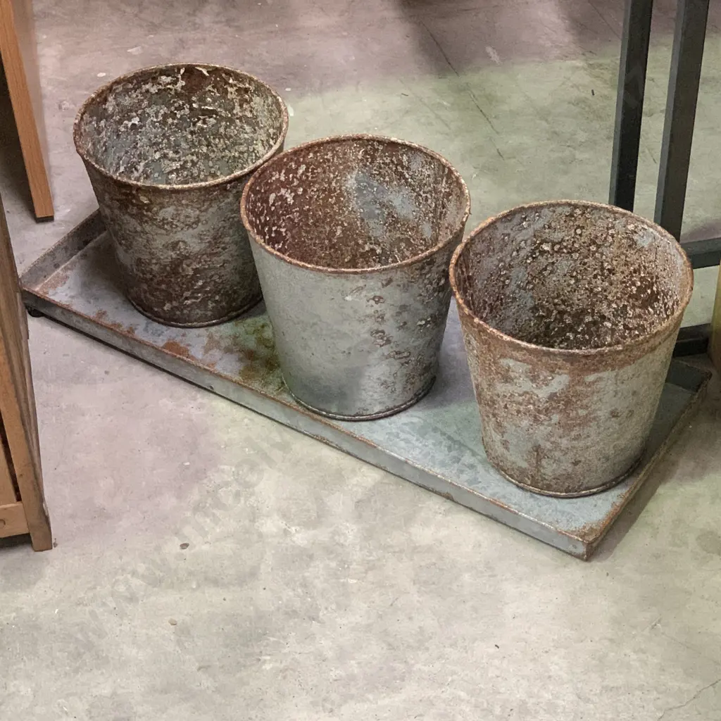 Rustic Set Of 3 Planters With Tray, Item Number 5609 Image 1++