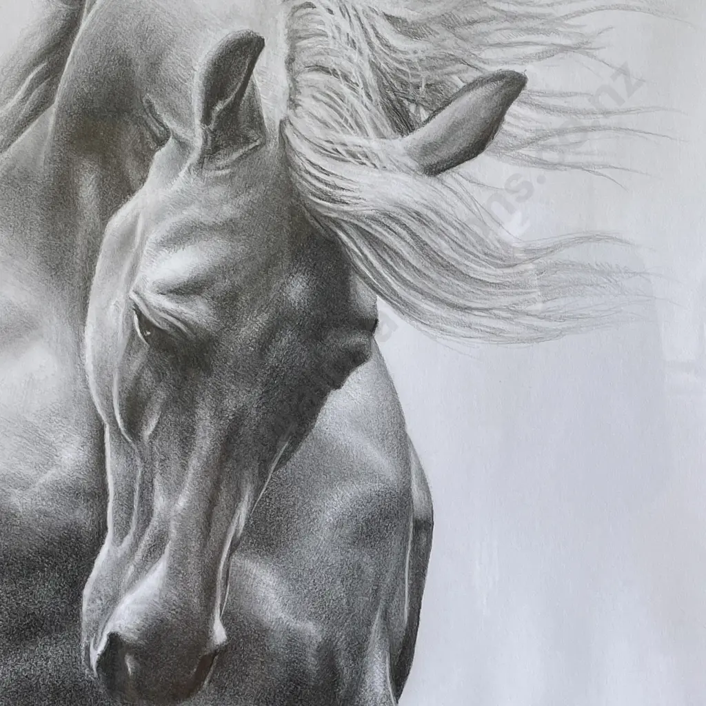 Original Brendan O'Farrell Pencil Drawing "The Stallion 2019" 56 x 66cm incl frame Image 1++