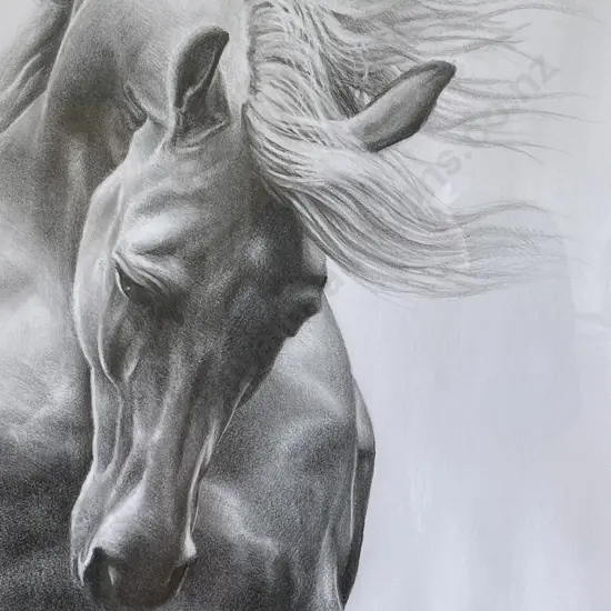 Original Brendan O'Farrell Pencil Drawing "The Stallion 2019" 56 x 66cm incl frame