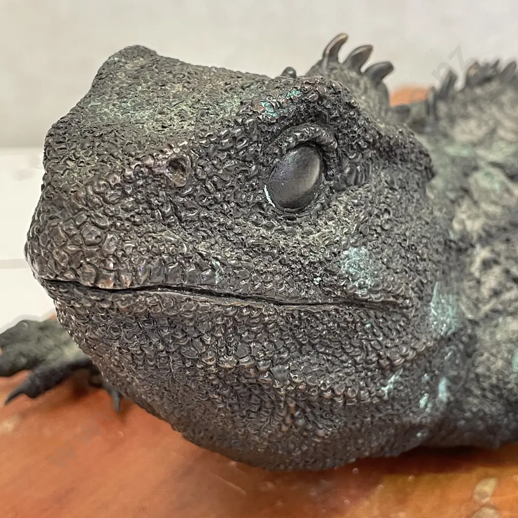 Brian Moore Tuatara Bronze Sculpture, Limited Edition Numbered & Signed 81/250, H10 W23 L51cm Image 1++