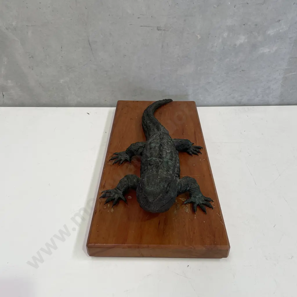Brian Moore Tuatara Bronze Sculpture, Limited Edition Numbered & Signed 81/250, H10 W23 L51cm Image 1++