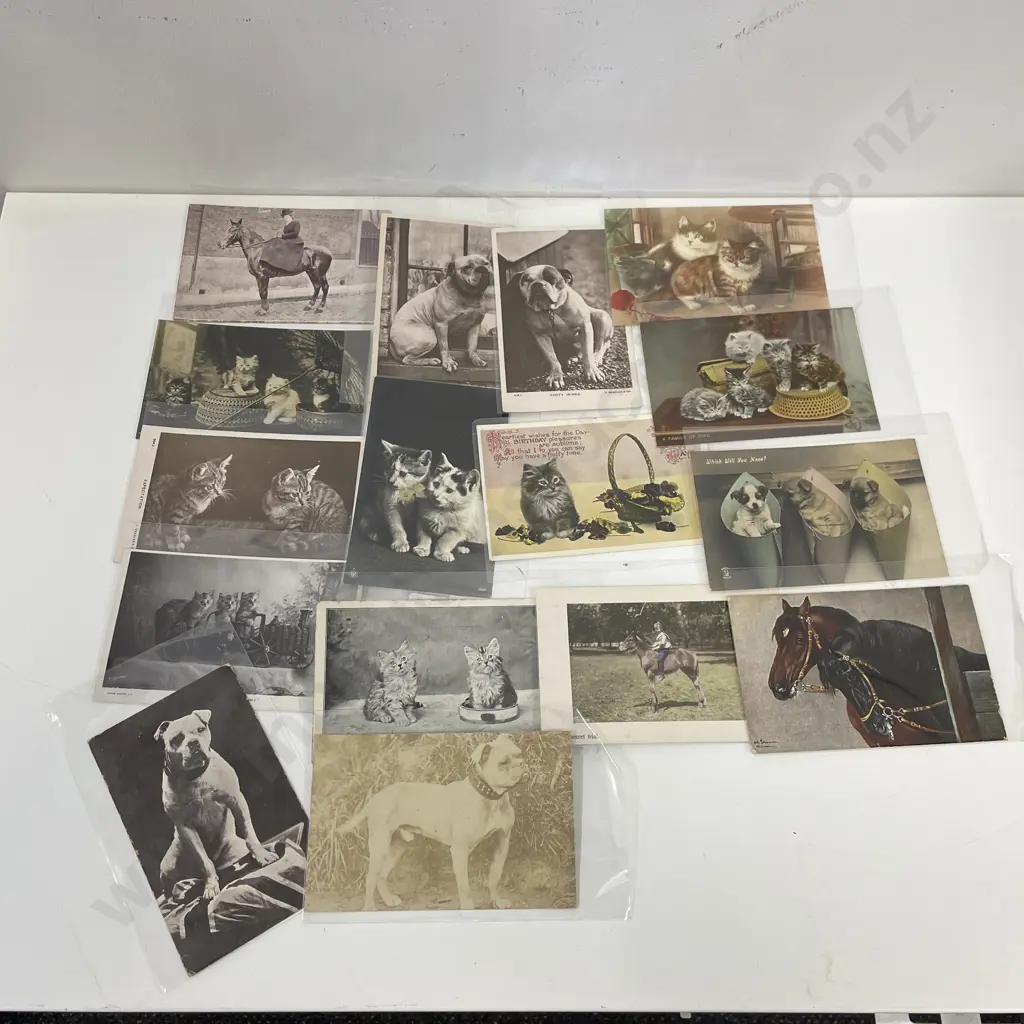 Vintage Assortment of Postcards - Animal themed Image 1++