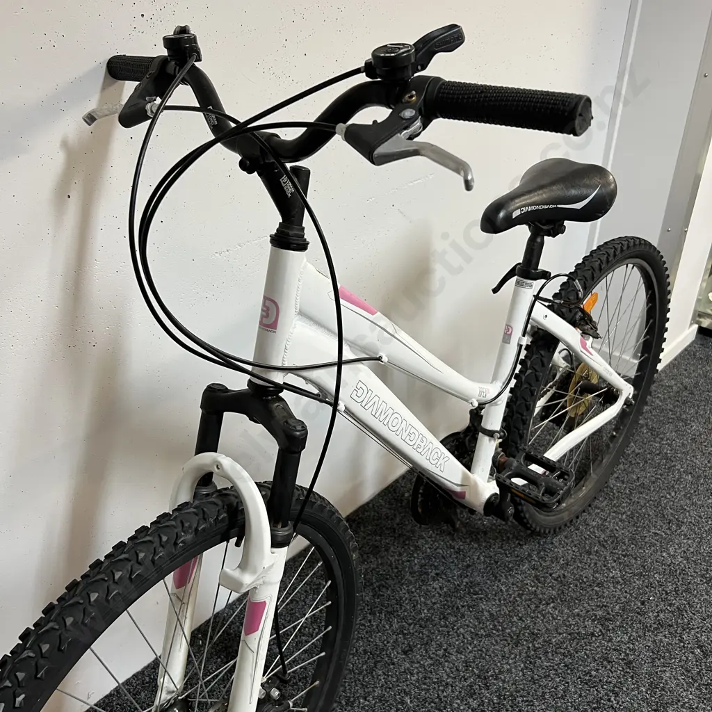 White Diamond Back ApexDX Bike Image 1++