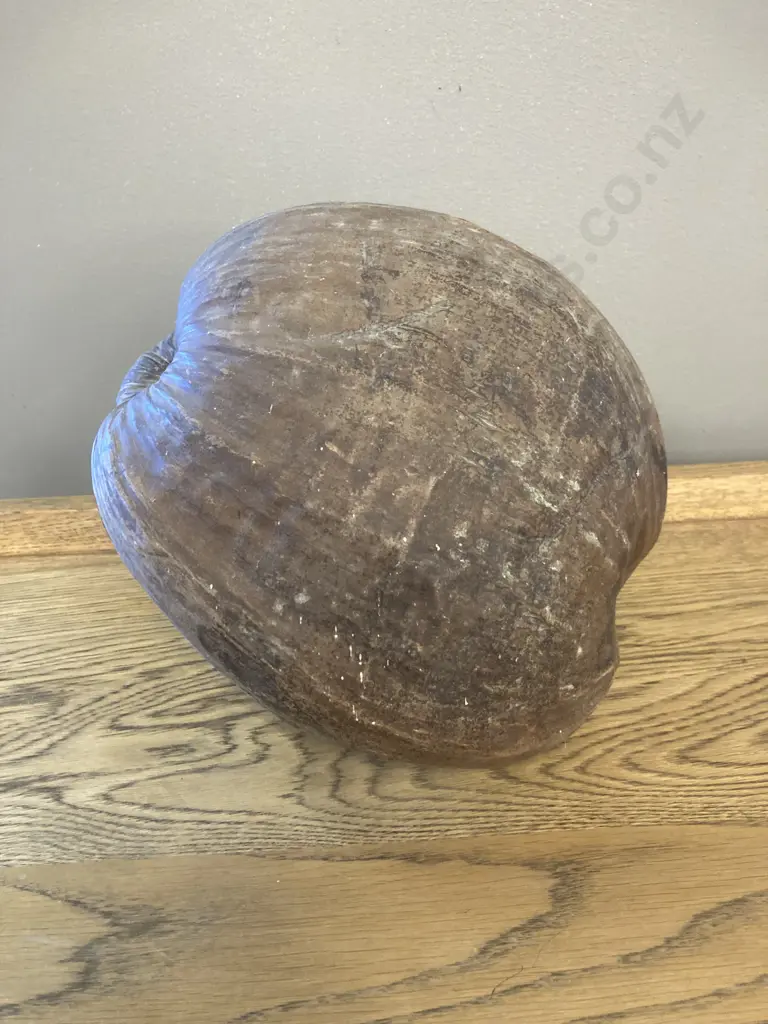 Vintage Souvenir Nauru Hand Painted Coconut DONATED DUE TO UNSOLD MULTIPLE TIMES Image 1++