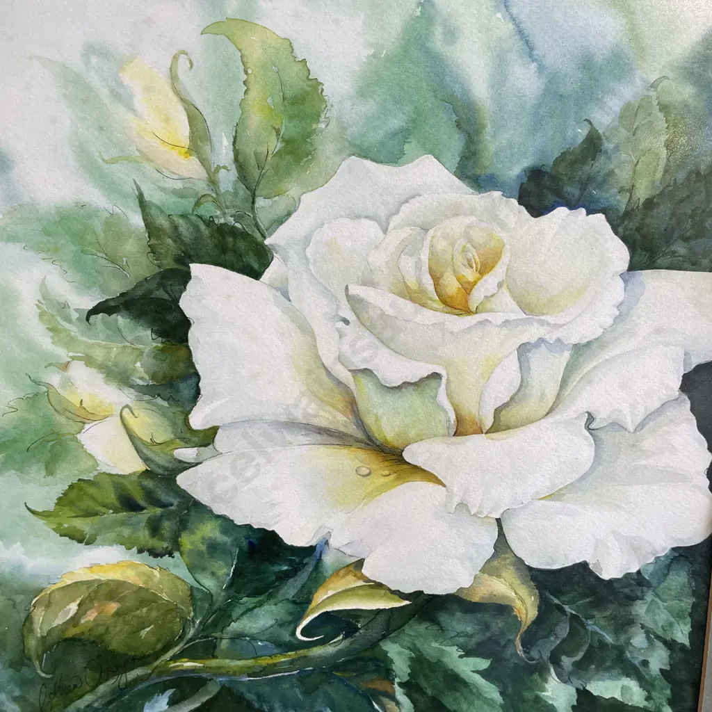 Large Framed and Signed Original Watercolour. Floral themed. 57 x 77cm Image 1++