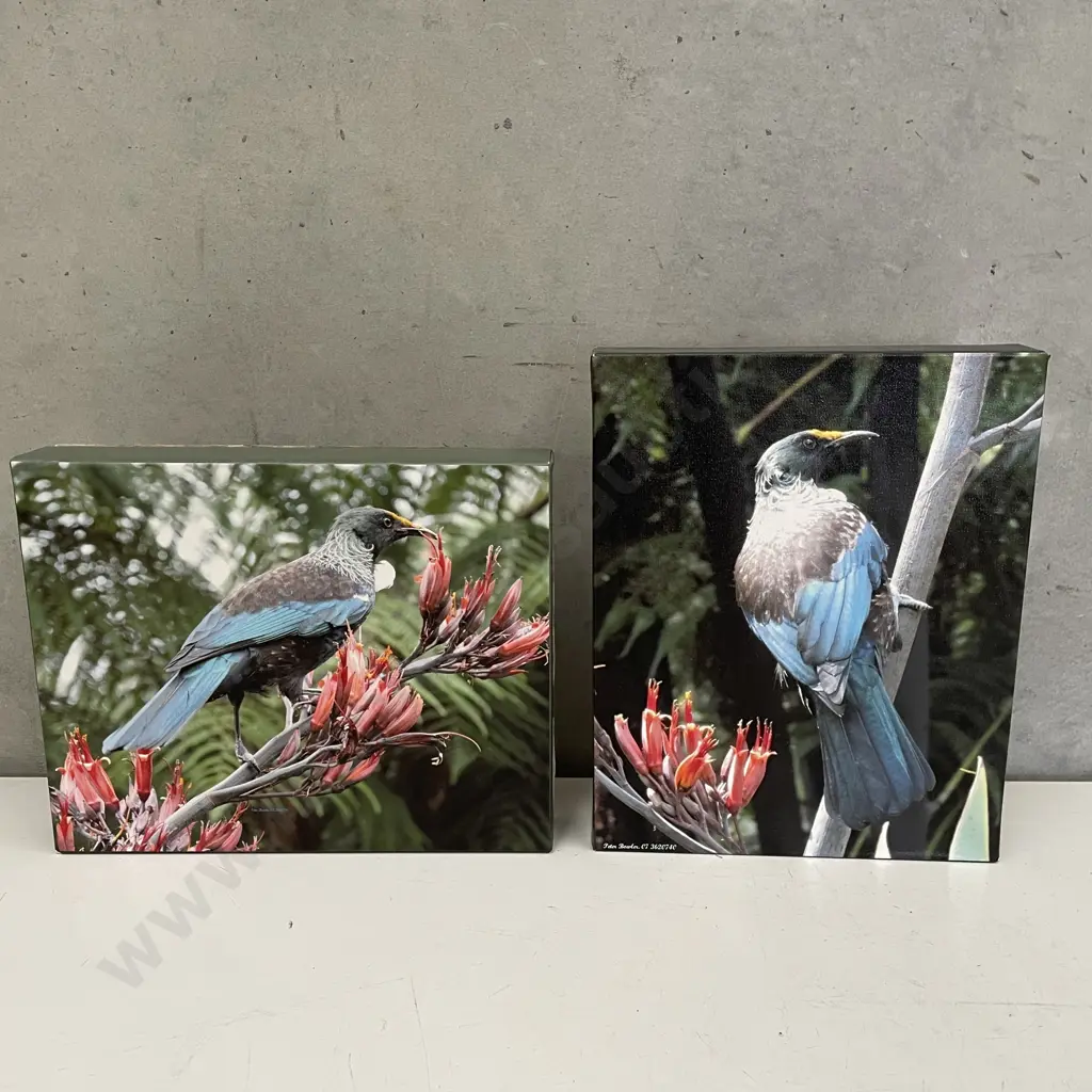 Two Peter Bowler Canvas Block Artworks of Native Birds. 25 x 21cm Image 1++