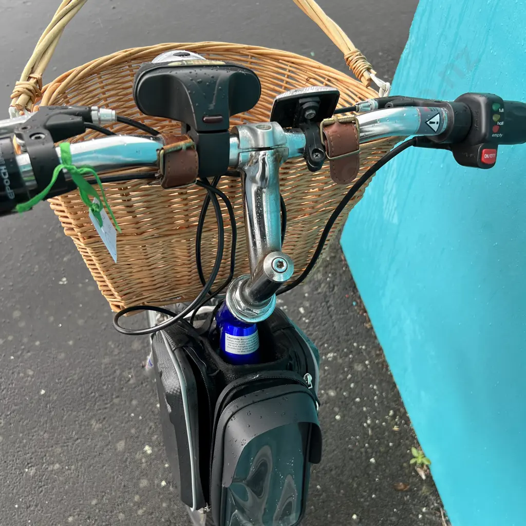 EZip Electric Trailz Bike with front and back baskets Image 1++