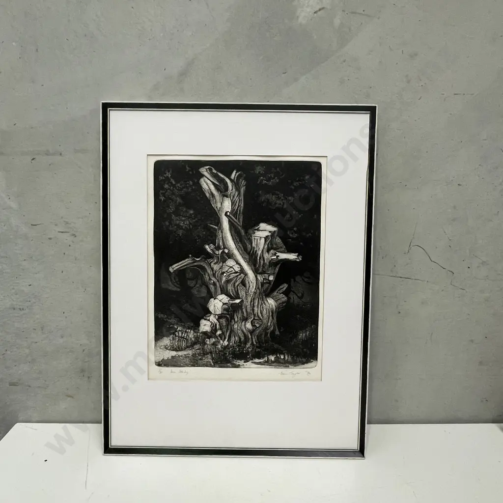 Signed Joan Taylor Etching titled "Tree Study" Numbered 1/30, dated '74. 48x63cm Image 1++